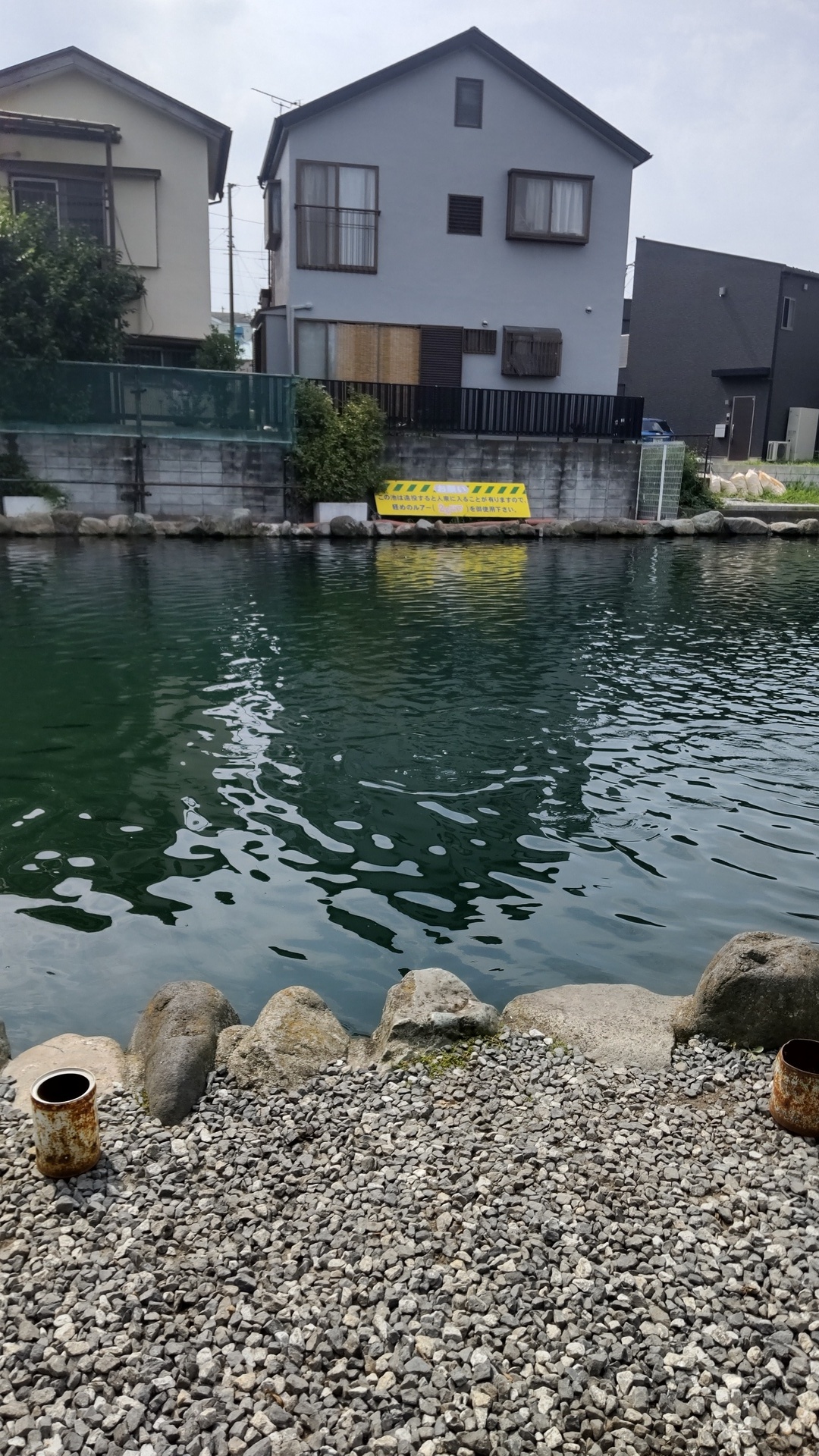 DSC_1342.JPG